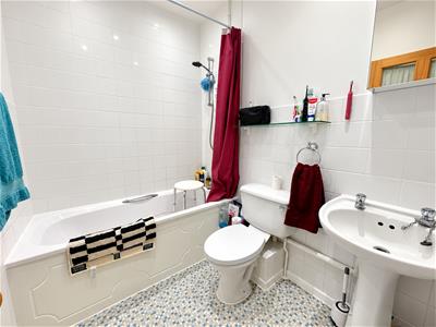 Picture 8